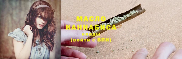 крисы Магас