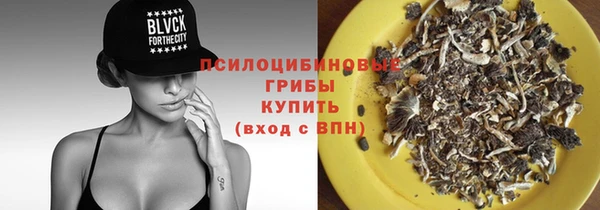крисы Магас