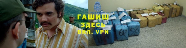 крисы Магас