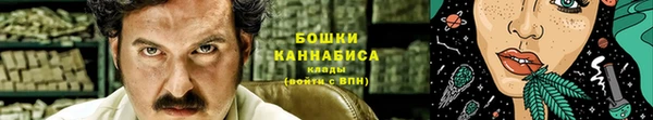 крисы Магас