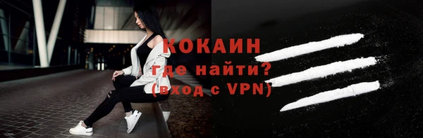 крисы Магас