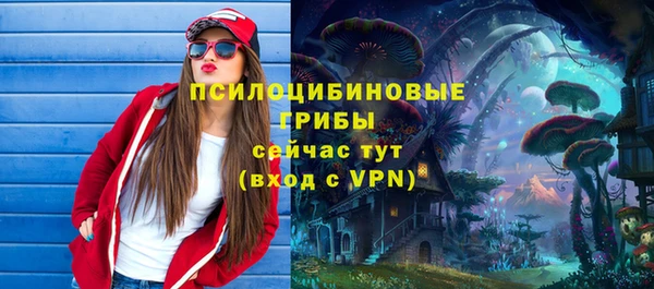 крисы Магас