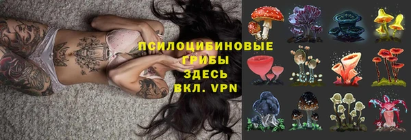 крисы Магас