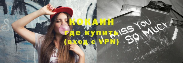 крисы Магас