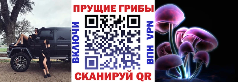 Галлюциногенные грибы мухоморы  Купить закладки  Яхрома 